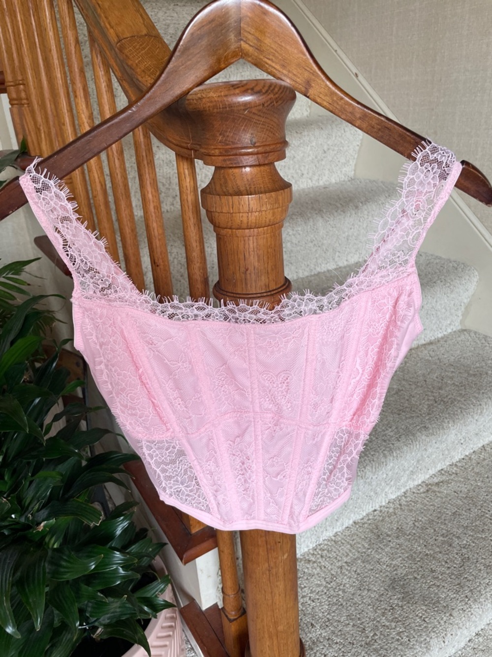 Victoria's Secret Dream Angels Lace Corset Top Delicate Pink Lace Bustier NWT
